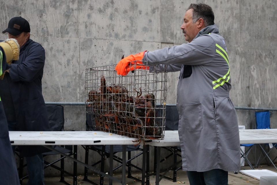 PHOTOS Lobster Fest 2024 a success with over 80 tables sold